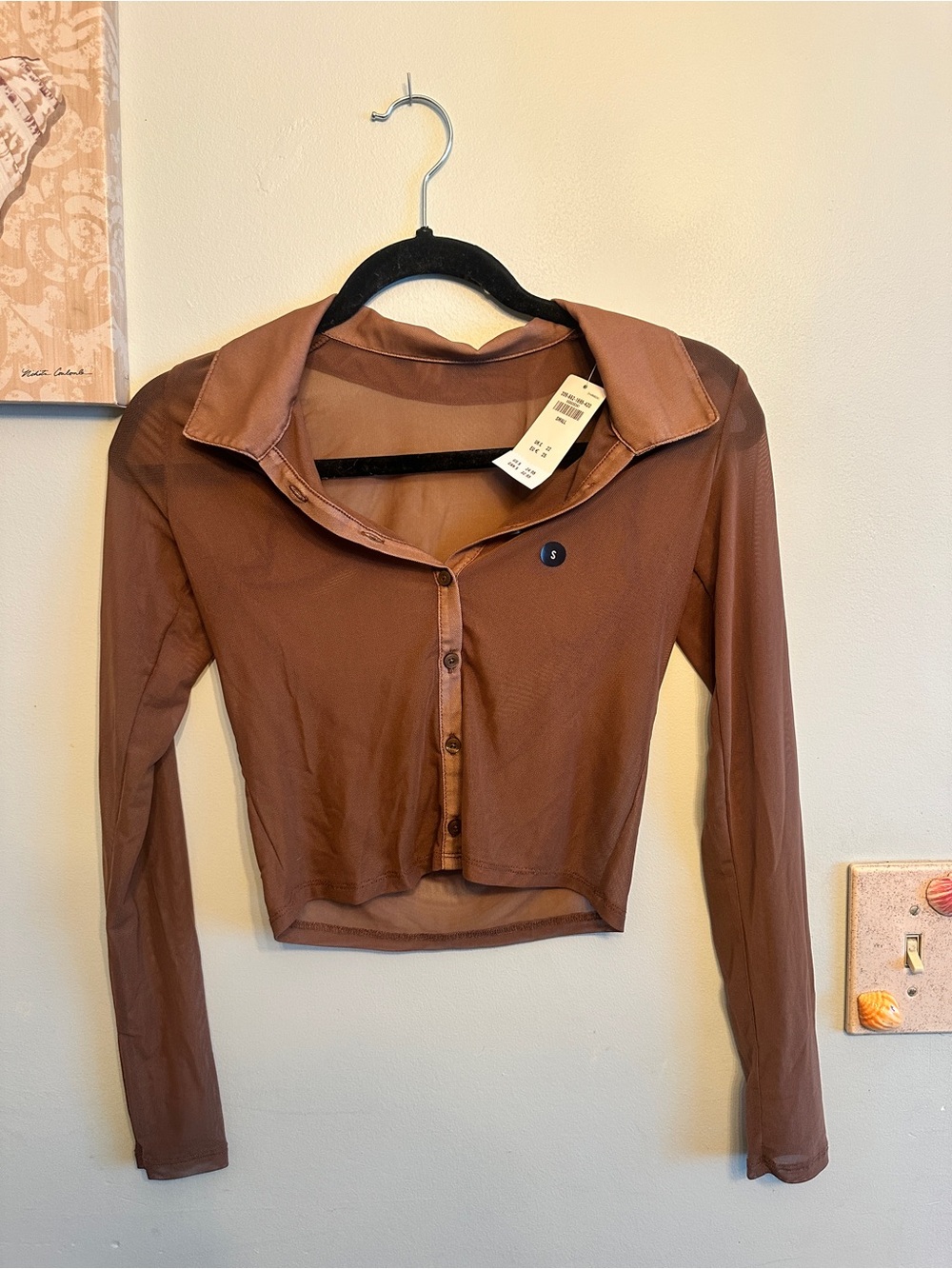 Hollister Brown Sheer Cropped Button-Down Top